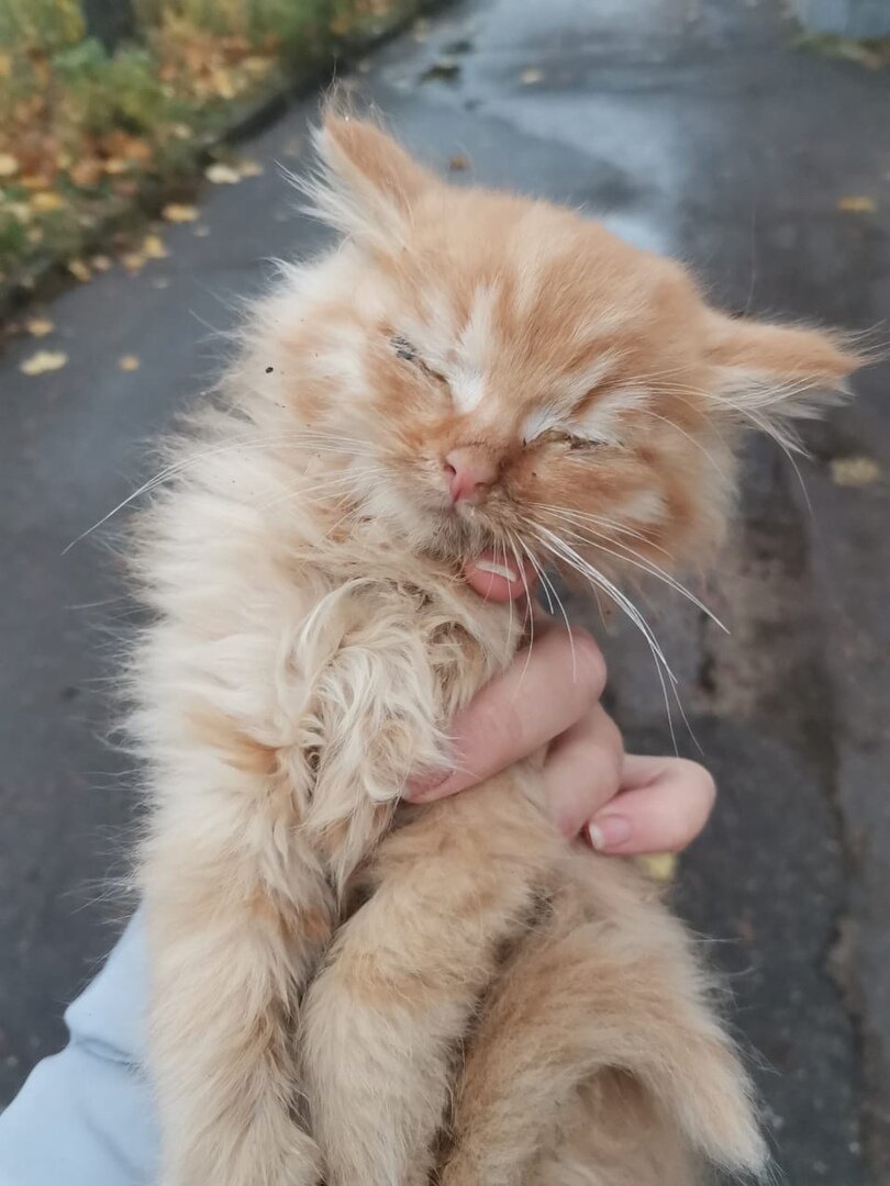 Малыш на улице