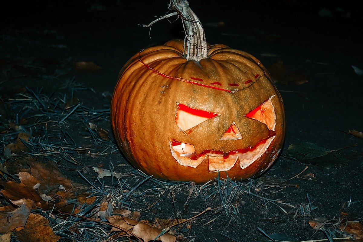 тыква 18. тыква на полках. праздник тыквы в россии. оля тыква арт 18 я подсяду. фестиваль тыквы в 2021.