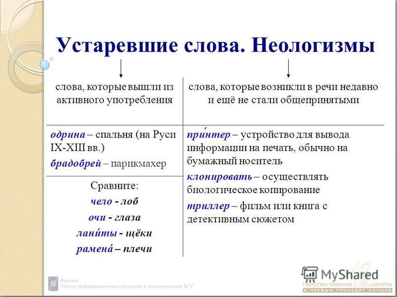 Мода на слова: что мы о ней думаем? | VK