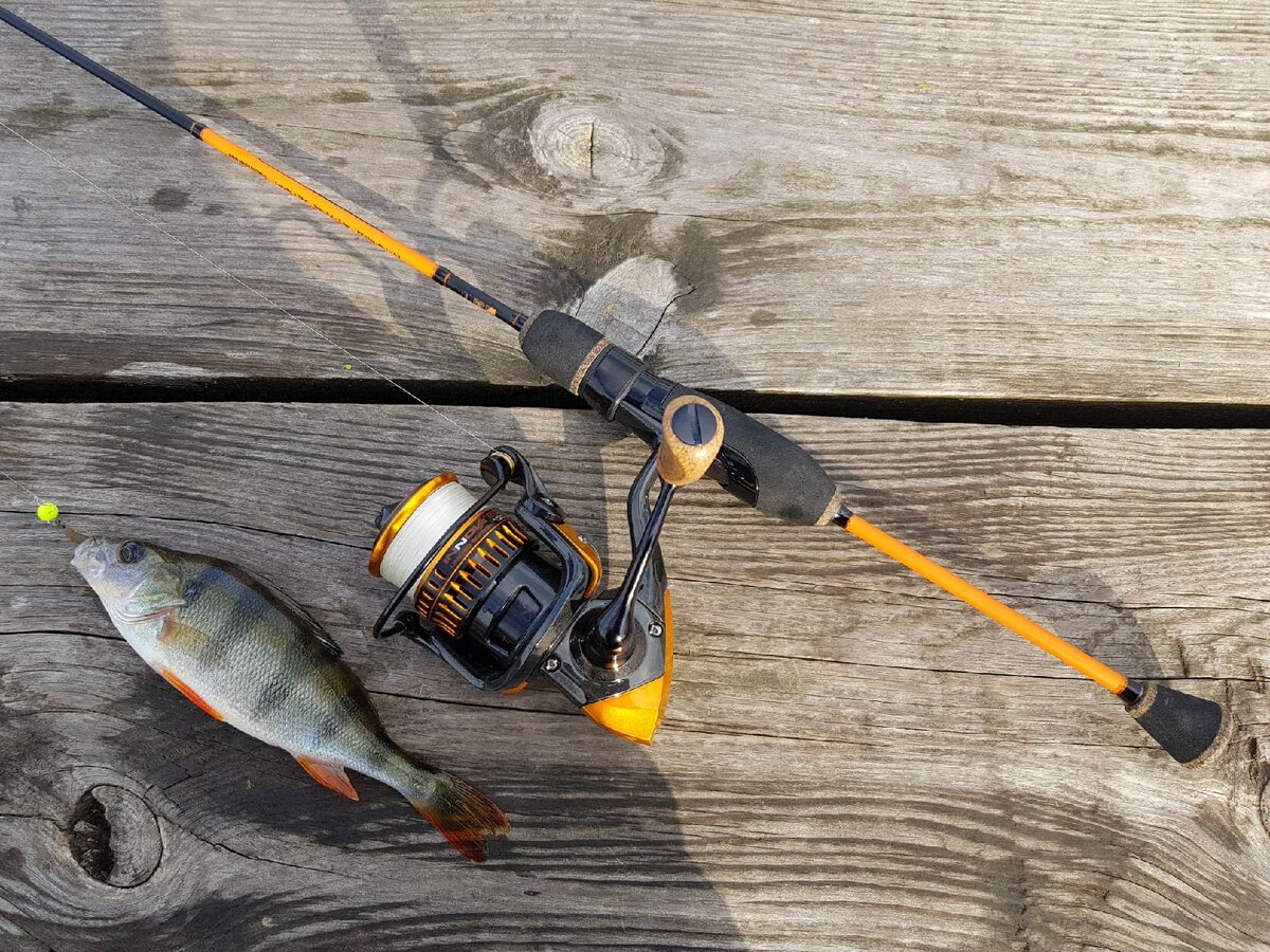 снасть экран для рыбалки. место для рыбалки. хобби рыбалка. рыбачат ли земледелец. телевизор для рыбалки.