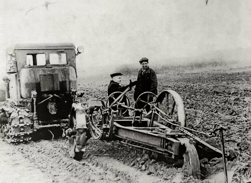 Фото из Яндекс Картинок