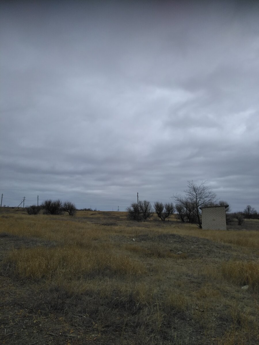 Хмурая осень. Вот  эту полянку решено было копать.