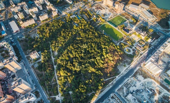 Пионерская роща в г. Новороссийск напоминает центральный парк Нью-Йорка, только в куда меньших масштабах. Источник: ngnovoros.ru