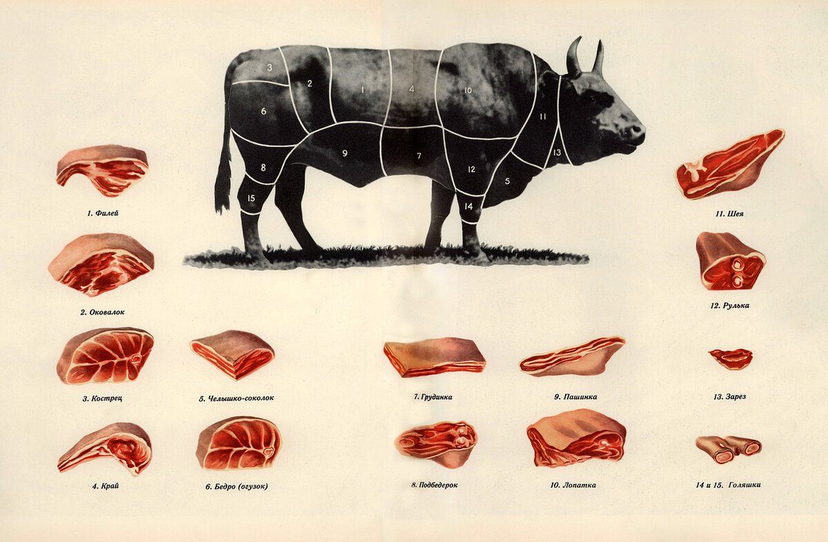 Разделка говядины схема