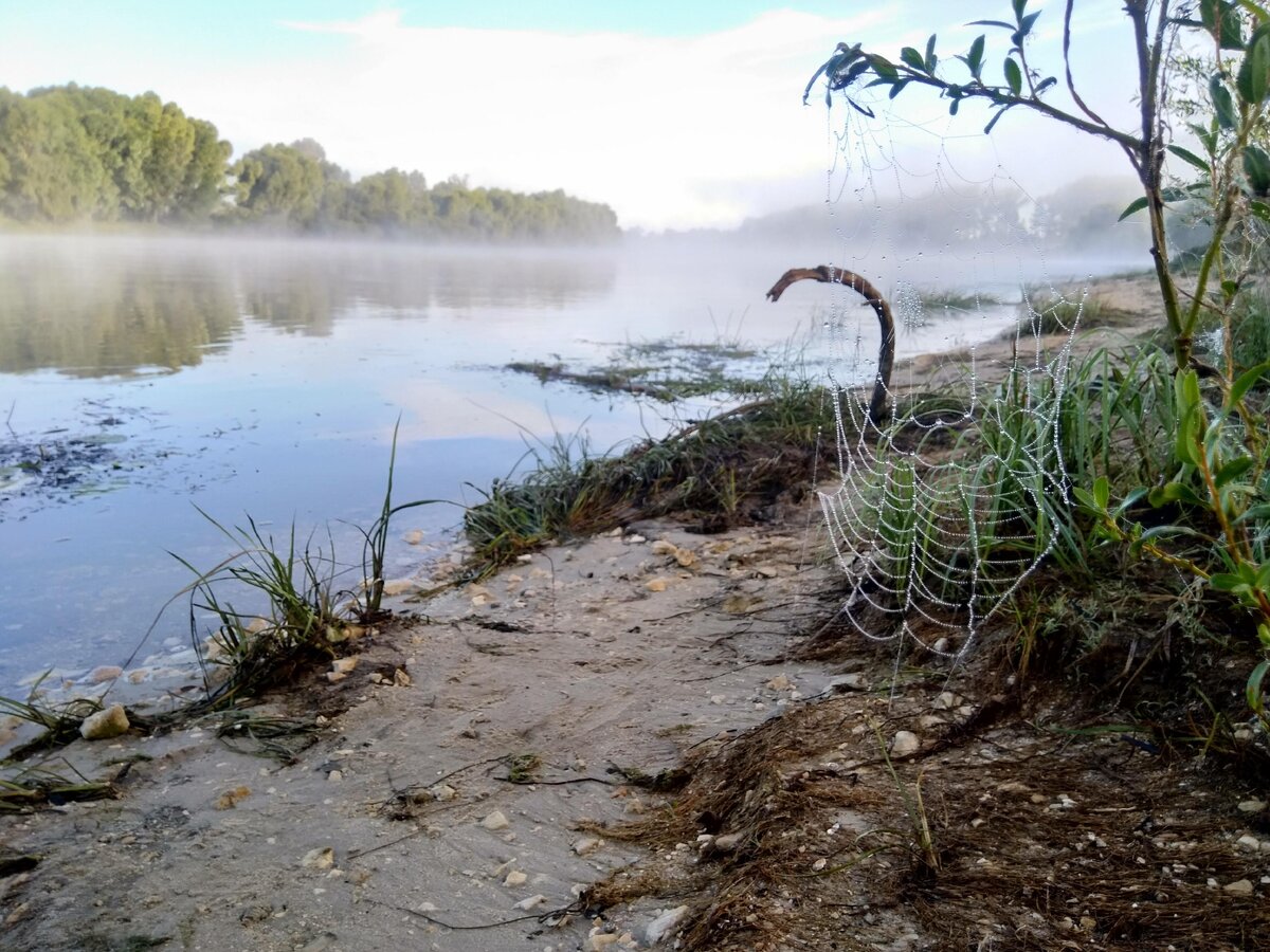 Раннее утро