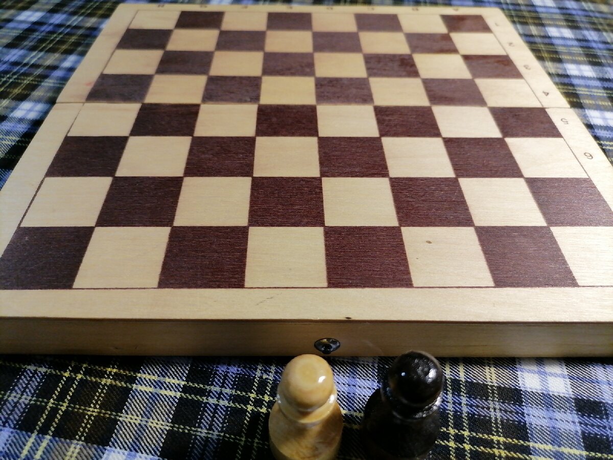 Мои помощники)