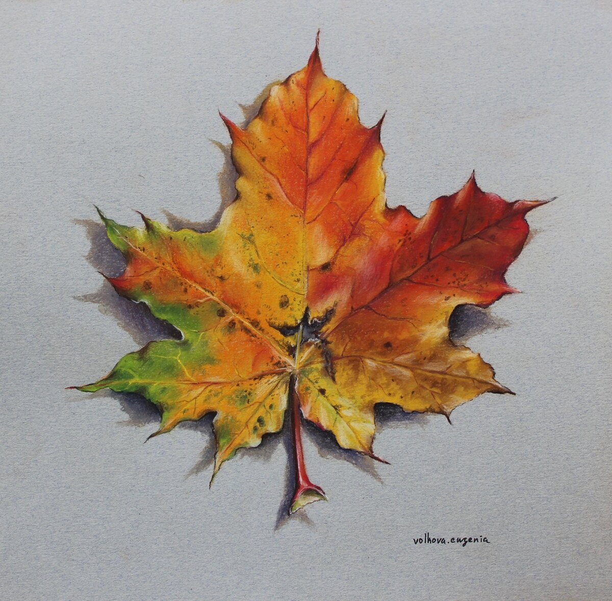 Фото предоставлено автором работы.