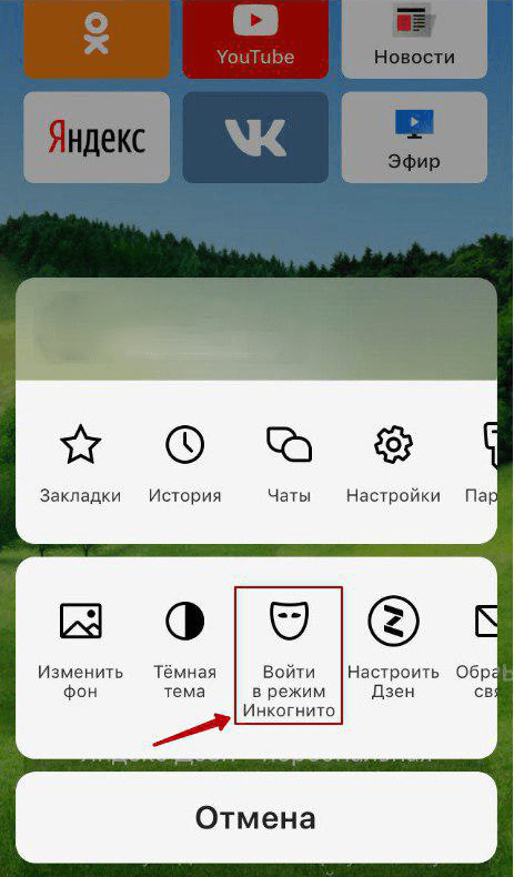 Скрытый просмотр телефона. Как включить инкогнито в Яндексе на телефоне.
