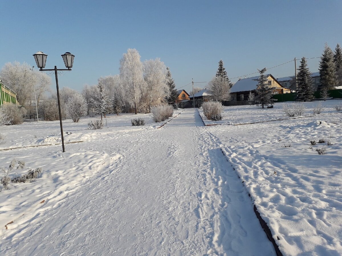 мое фото парка: Зима во всей красе!