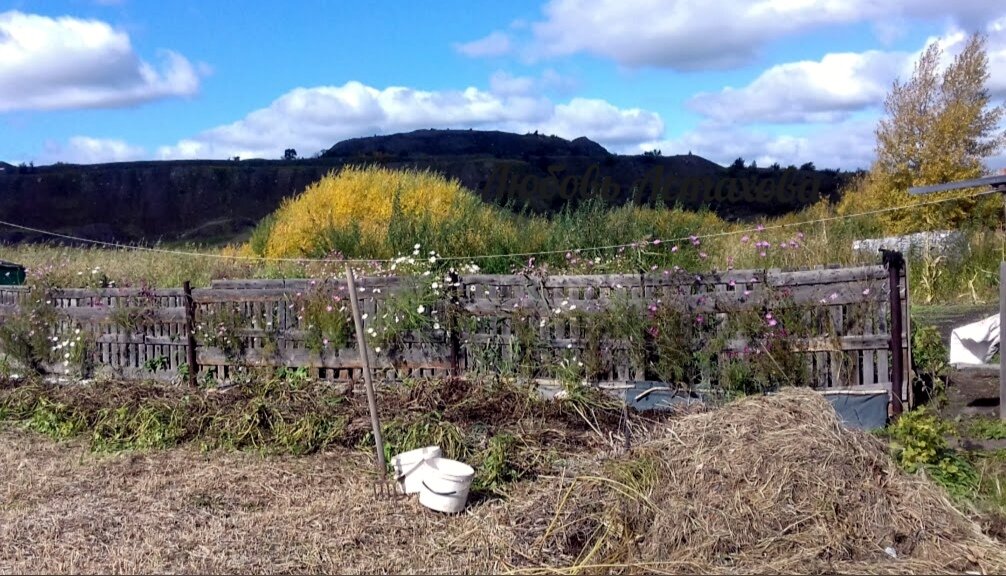 Да, мода меняется, как времена года и погода на улице, но простите: как бы не выглядели сейчас трусы и ботинки, в них главное не цена, фирма и цвет, важным всегда остаётся их функциональность и удобство. 