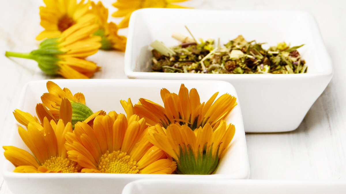 Calendula officinalis Flower extract