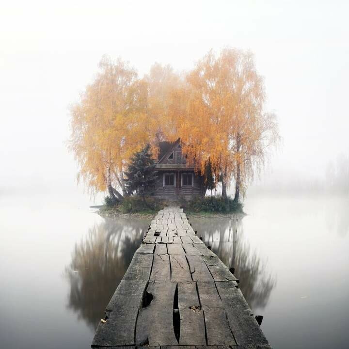 Изображение из Яндекс-подборок