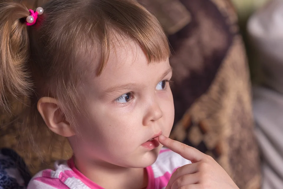 Фотография с бесплатного фотостока https://pixabay.com