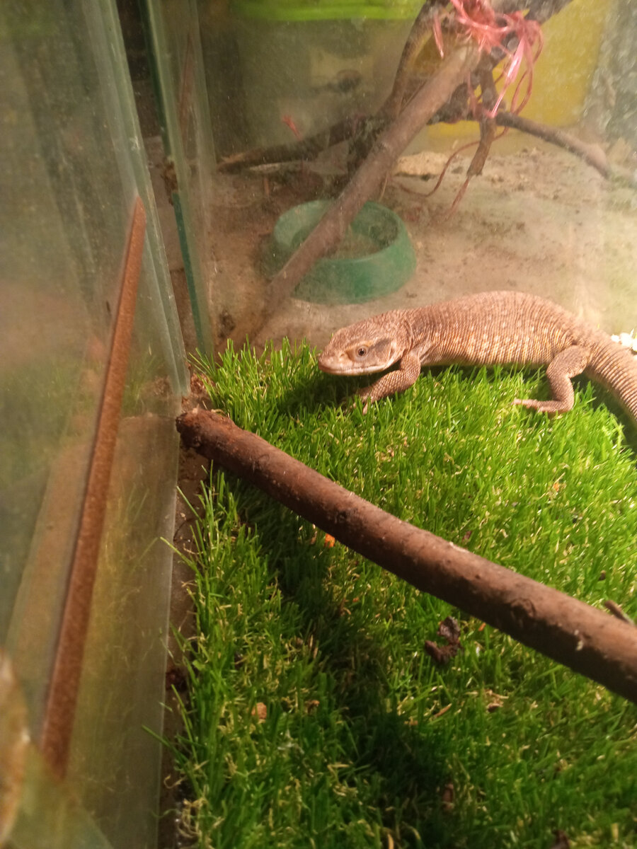 Первый день в новом доме.