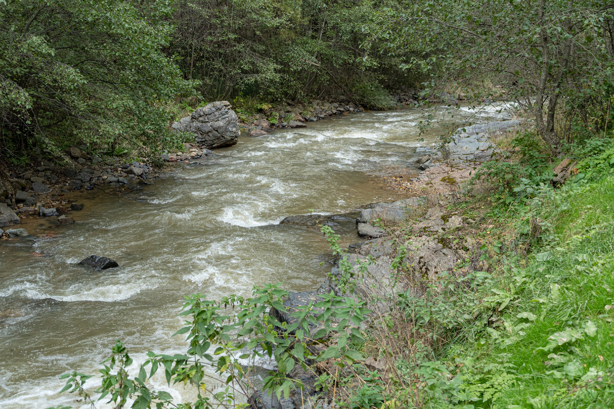 2. Река Хасаут, вид в сторону устья (по стрелке вправо ещё фотографии бурной реки).