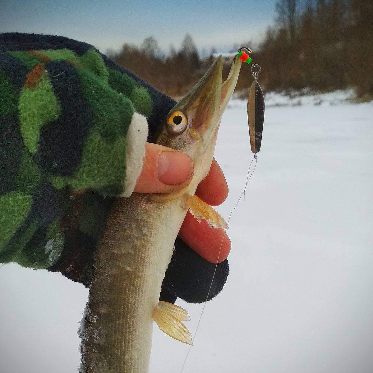 Первые зимние трофеи.