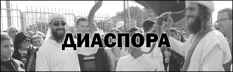 Фото взято из открытого доступа.