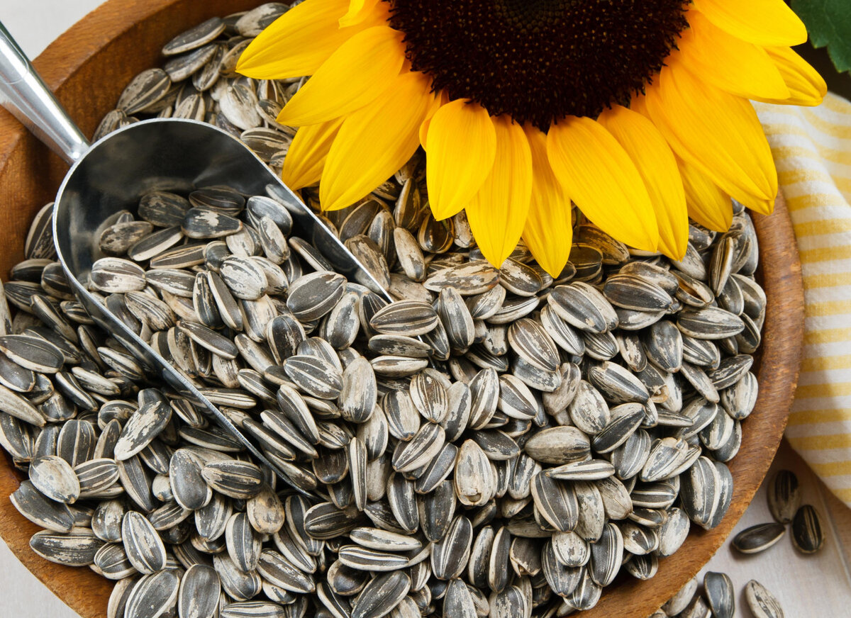 Источник изображения: flowerofsun.com