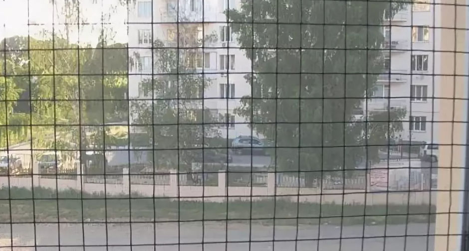 Примерно такого рода сетки устанавливались на окна