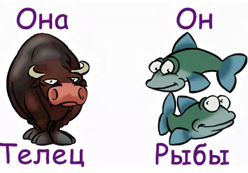 Совместимость рыб и тельцов. Телец и рыбы совместимость. Совместимость тельца и рыбы в любви. Знаки зодиака Телец и рыбы. Сочетание тельца и рыбы.