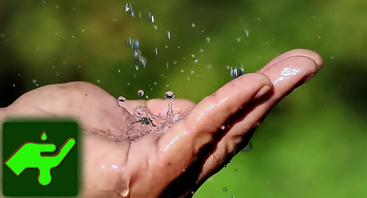 Ликвидный Бонус ЛЮБОН™ это новая эра цифровых благодарностей и честных рейтингов