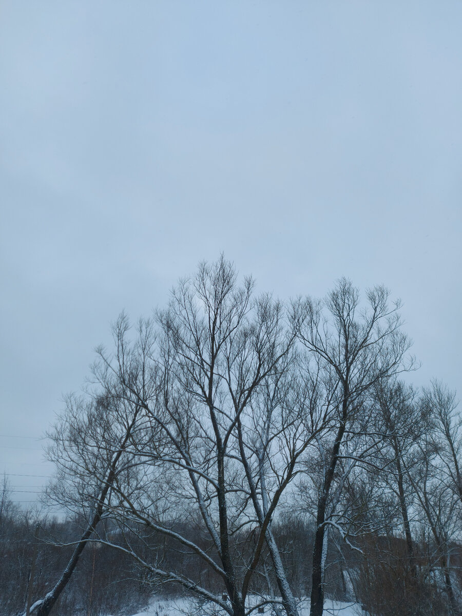 Это полдень.