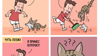 И котиков от разных авторов, 11 смешных комиксов про котов.