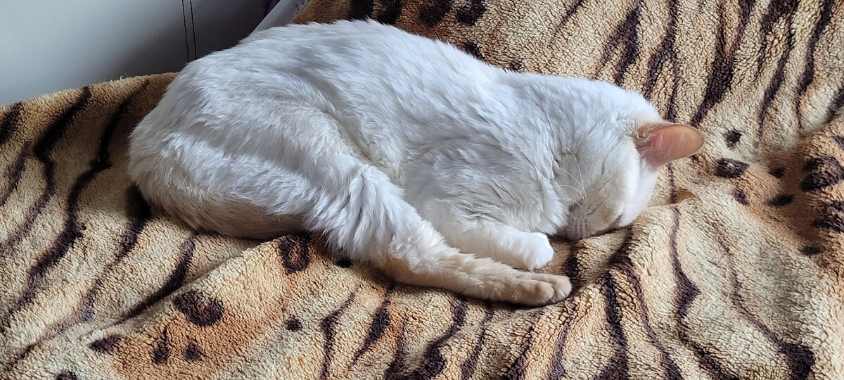 Когда это закончится?! Когда ОН перестанет сюда приезжать?!