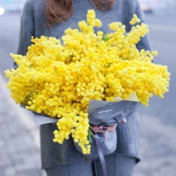 Фото из Pinterest