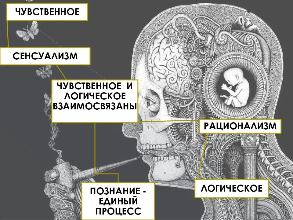 Эмпиризм в картинках