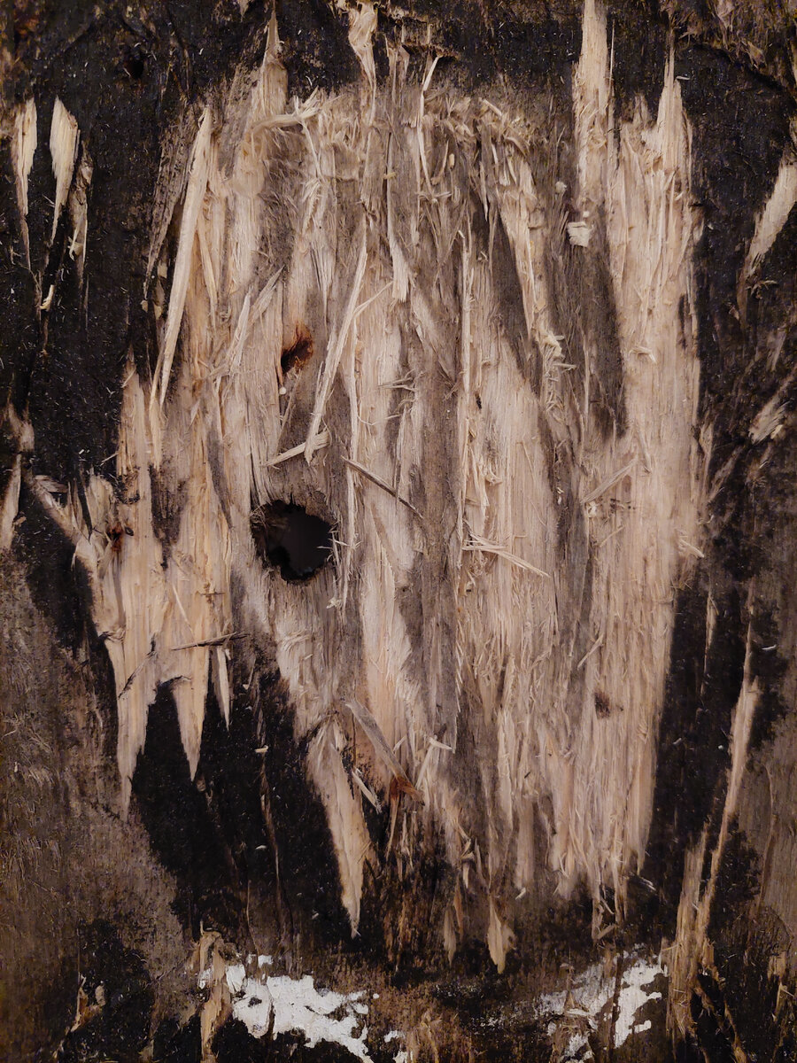 Нестор Энгельке.