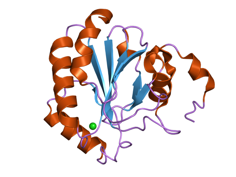 глутатионпероксидаза