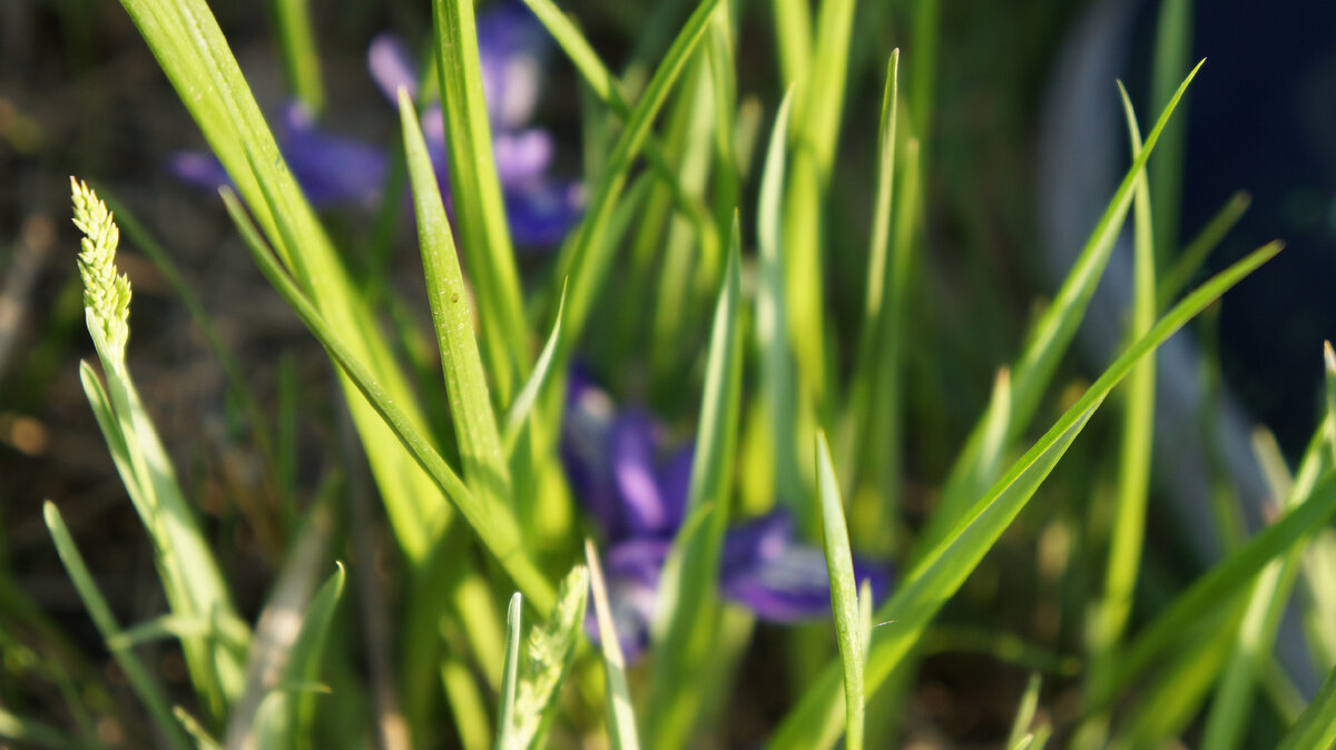 Мы запоминаем то, на чём акцентируем внимание. Фото автора.