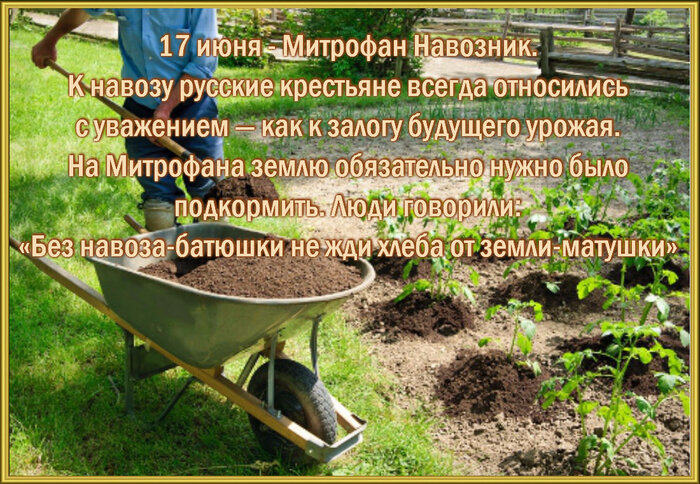 фото из Яндекс-картинки