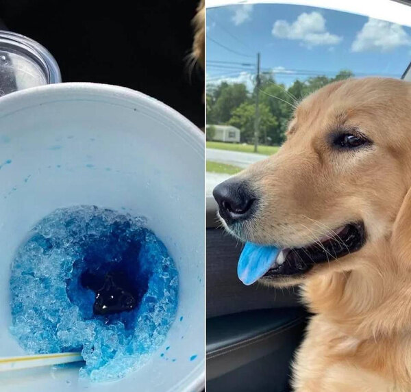 Фото © Reddit / JediWithAnM4