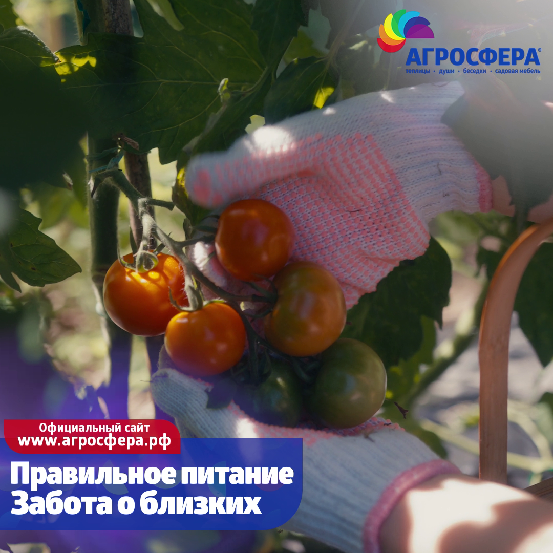 Правильное питание, ЗОЖ - агросфера.рф (Всё для дачи и сада)