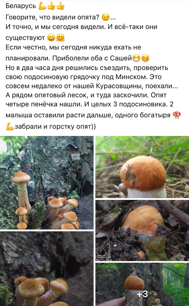 Фото с Фейсбука