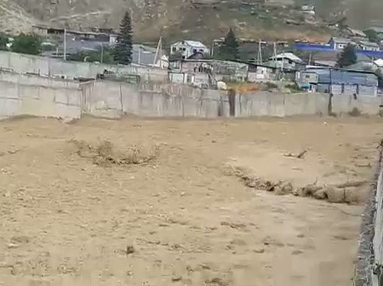     скриншот видео