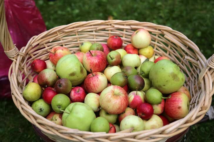    Фото Виктора Боровских