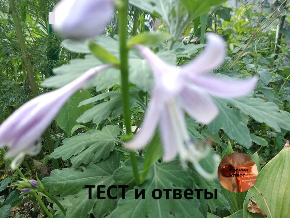 Доброе утро!