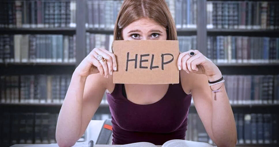 Яндекс картинки