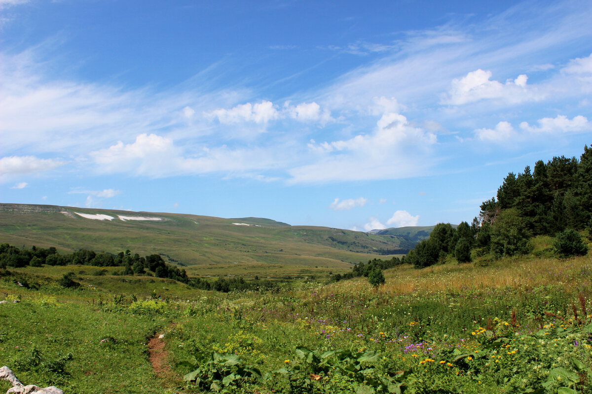 Тропы заповедника