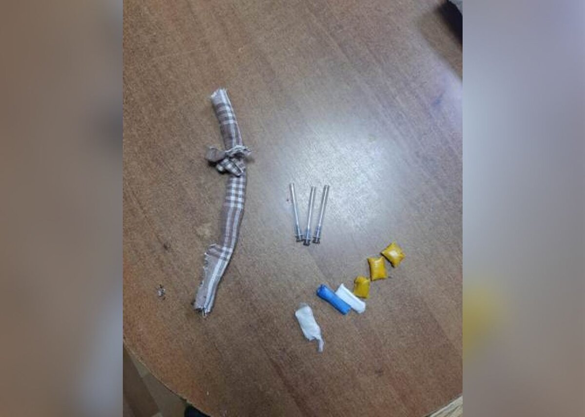    Предметы, найденные у кота в самодельном ошейнике © УФСИН России по Ивановской области
