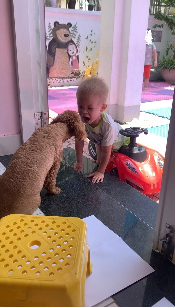 Учится общаться с собачкой.