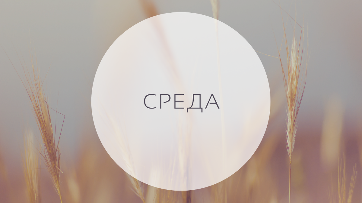 Гороскоп на 15 июня, среда. 16-й лунный день, Луна в Козероге.