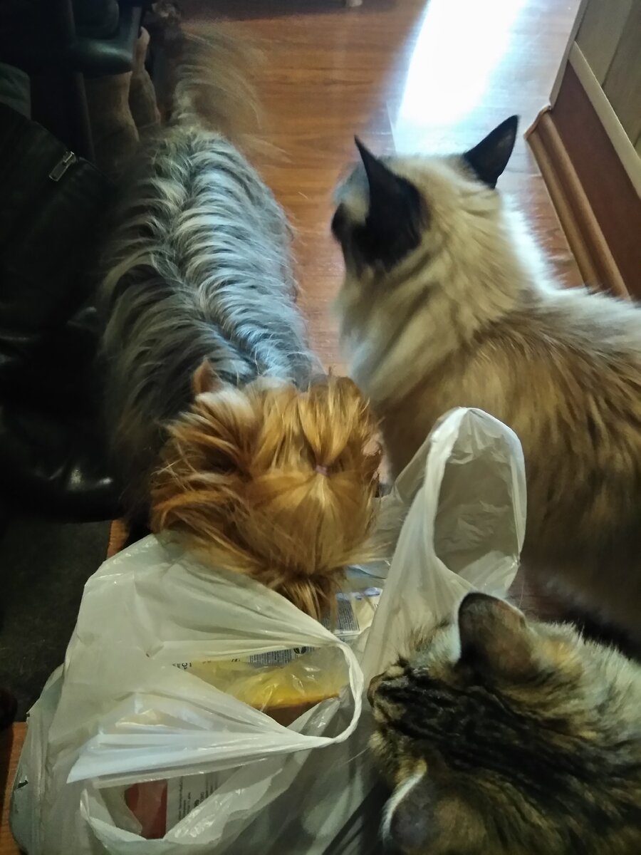 Увидев камеру Тимофей отвернулся, типа он в этом не участвует