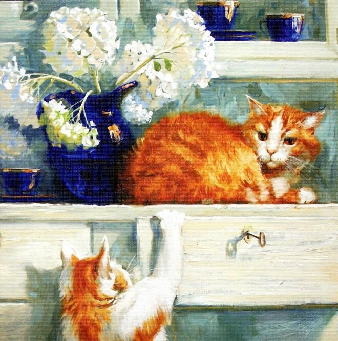 таких купили и еще что-то. Не помню. Фото с интернета. 