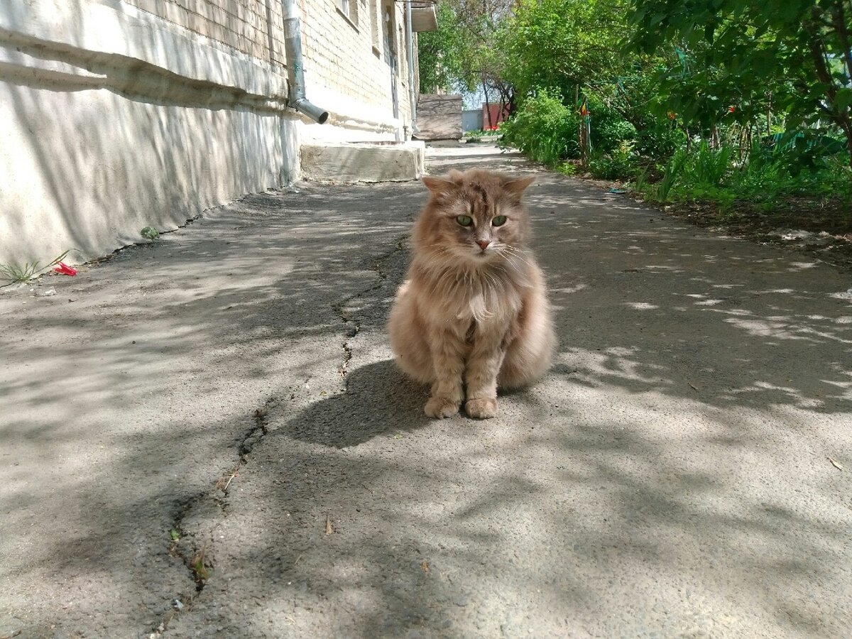 "Я не толстая!"