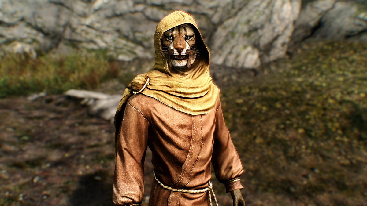 Изображения из игры The Elder Scrolls V: Skyrim.