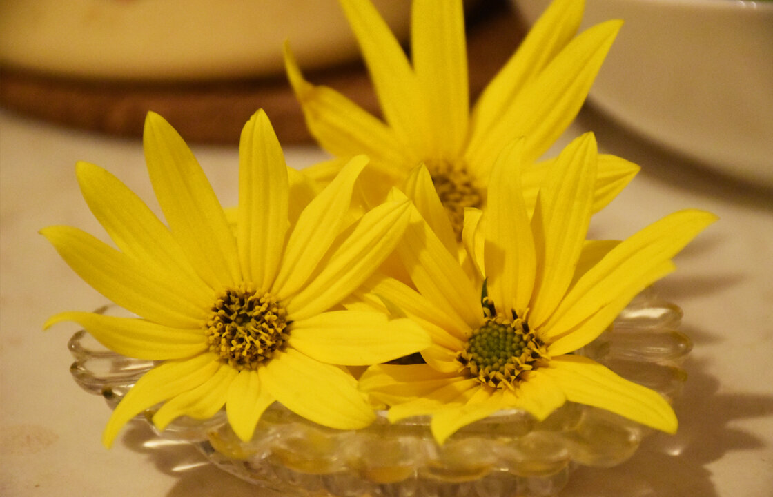 Оставлю сушиться